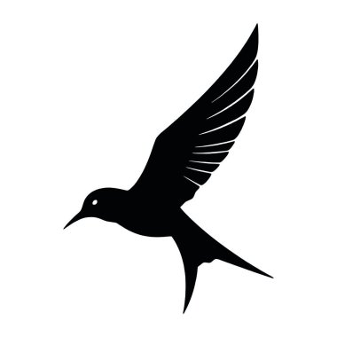 vektör siyah ve beyaz kuş