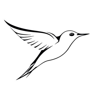 Beyaz arkaplanda beyaz bir kuşun vektör çizimi