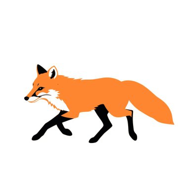 Beyaz arkaplanda çalışan bir tilki, vektör sanat illüstrasyonu, düz stil vektör sanat illüstrasyonu, beyaz resimli katı renk (4))