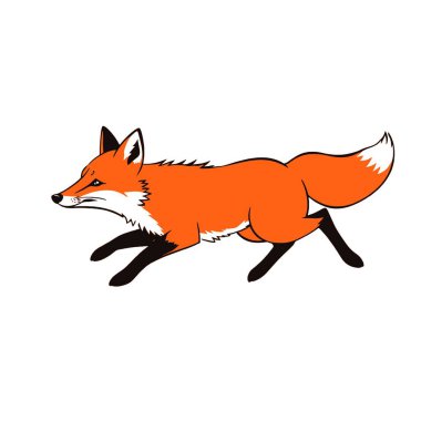 Beyaz arkaplanda çalışan bir tilki, vektör sanat illüstrasyonu, düz stil vektör sanat illüstrasyonu, beyaz resimli katı renk (12))