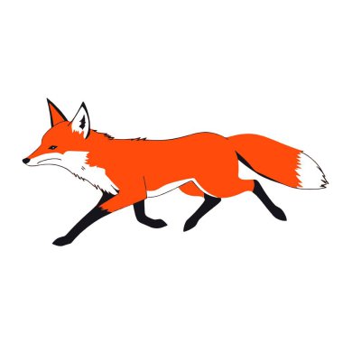 Beyaz arkaplanda koşan bir tilki, vektör sanat çizimi, düz stil vektör sanat çizimi, beyaz resimli katı renk (19))