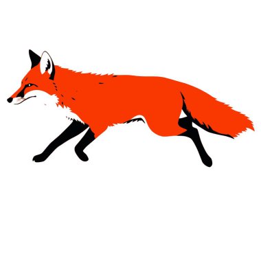 Beyaz arkaplanda çalışan bir tilki, vektör sanat illüstrasyonu, düz stil vektör sanat illüstrasyonu, beyaz resimli katı renk (25)