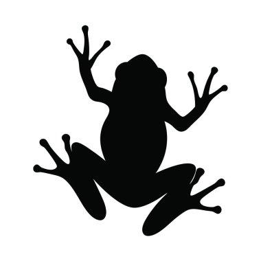 Bir kurbağa silueti, beyaz arkaplanda vektör çizimi