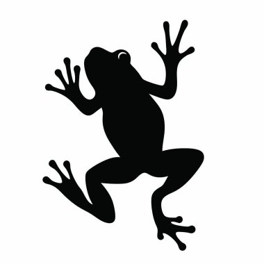 Beyaz arka planda yükseltilmiş bacakları olan siyah kurbağa.