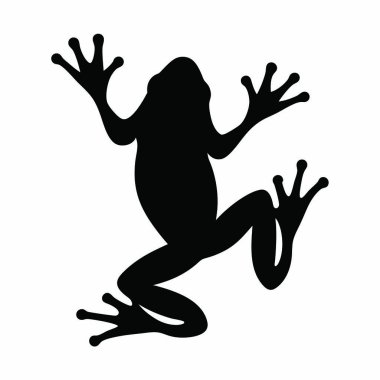 Siyah kurbağa, beyaz arka planda izole edilmiş.