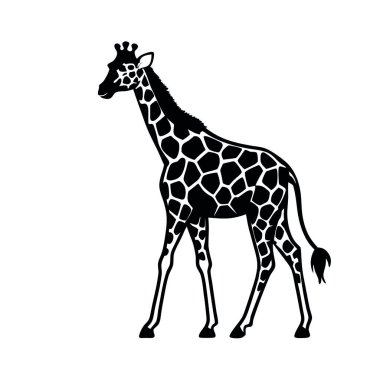 Beyaz arka planda zürafa simgesi. vektör illüstrasyonu