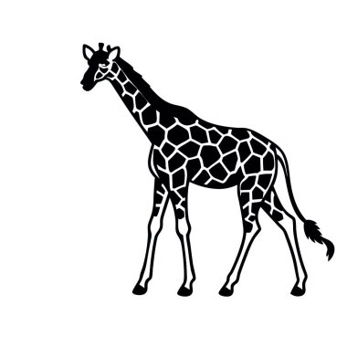 Beyaz arka plan üzerinde izole zürafa siluet