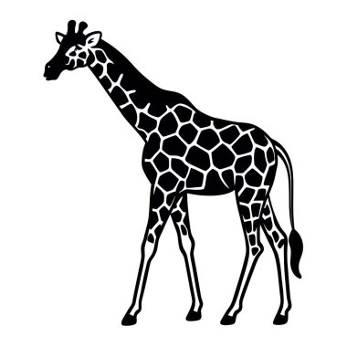 Zürafa silueti beyaz arka planda izole edilmiş. Siyah siluet. vektör illüstrasyonu.