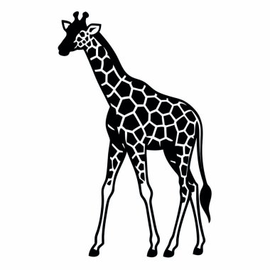 Zürafanın siyah beyaz çizimi. izole
