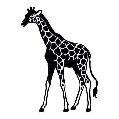 Beyaz arkaplanda zürafa silueti