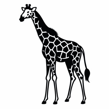 Beyaz arka planda siyah çizgili zürafa silueti