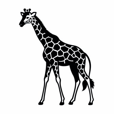zürafa siyah silueti beyaz arkaplan vektöründe izole edildi.