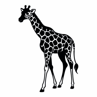 zürafa siluet vektör