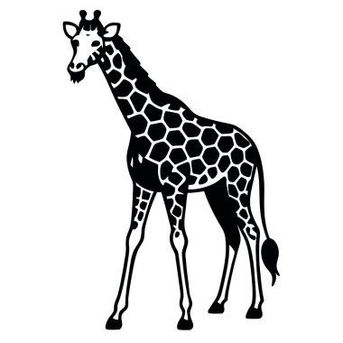 Zürafanın vektör çizimi