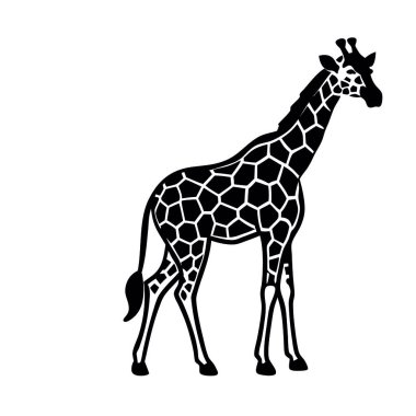 Beyaz arka planı olan siyah zürafa.