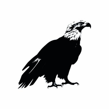 Bir kartal kafasının silueti
