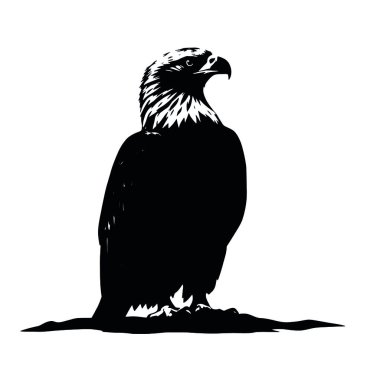 Siyah ve beyaz kartal çizimi beyaz arkaplanda izole edildi