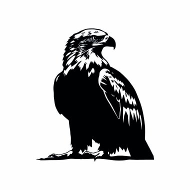 siyah bir kartal silueti