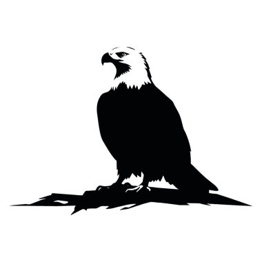 Siyah kartal vektörü beyaz arkaplanda izole edildi