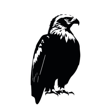 Beyaz arkaplanda siyah kartal, vektör çizimi