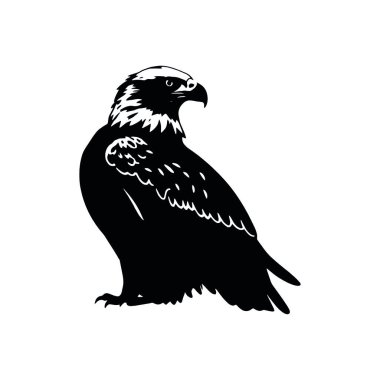 Kartal baş vektör illüstrasyonu