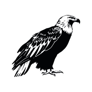 beyaz arkaplanda kartal siyah silueti