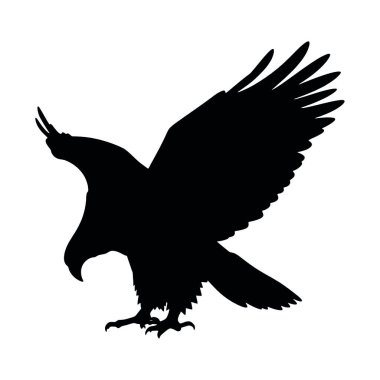 Siyah kanatlı kartal kafası silueti