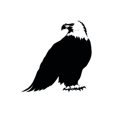 kartal başı logo vektör şablonu