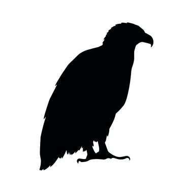 kartal kuş silueti vektör çizimi