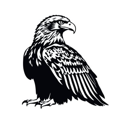 Kartal baş vektör illüstrasyonu