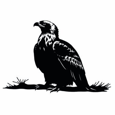 bir daldaki karga silueti