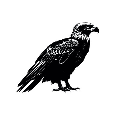 kartal başlı siyah siluet