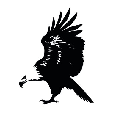 siyah kuş vektör silueti