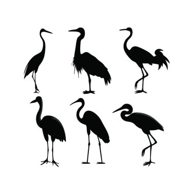 Beyaz arka planda izole edilmiş siyah siluetler. Siyah bir flamingonun vektör illüstrasyonu
