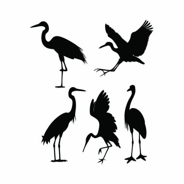 Kuş siluetlerinin vektör çizimi