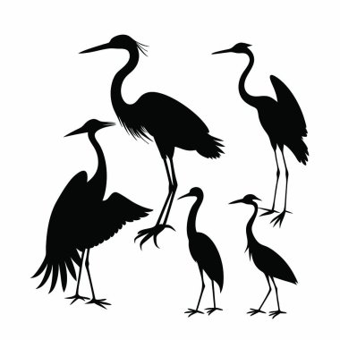 Beyaz arkaplanda kuşların siyah silueti