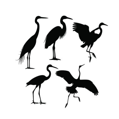 siyah kuş silhouettes