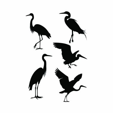 siyah kuş silhouettes