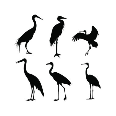 Beyaz arka planda farklı kuşların siyah siluetleri. vektör illüstrasyonu