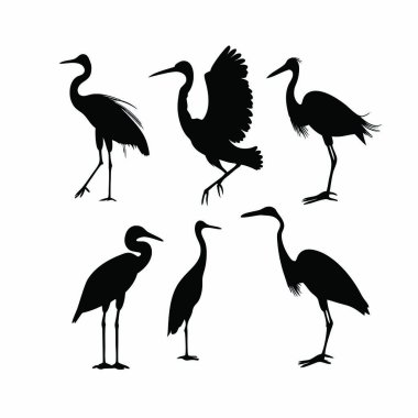 Vahşi hayvanların siyah siluetleri.