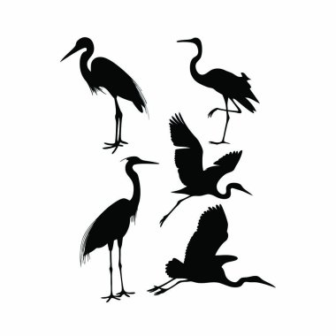 Leyleğin siyah silueti