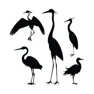 Beyaz zemin üzerinde bir grup siyah kuşun vektör çizimi