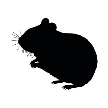 Sıçan. Sıçan. Siyah sıçan. vektör