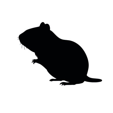 beyaz arkaplanda bir farenin siyah silueti
