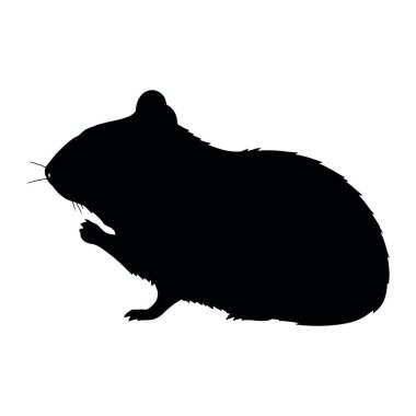Tatlı bir hamsterın silueti.