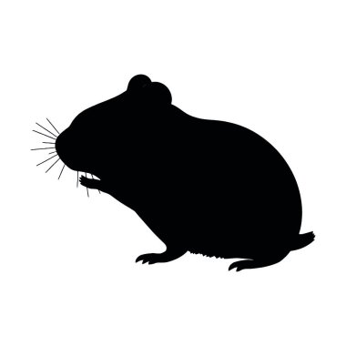 Beyaz arkaplanda bir farenin vektör silueti