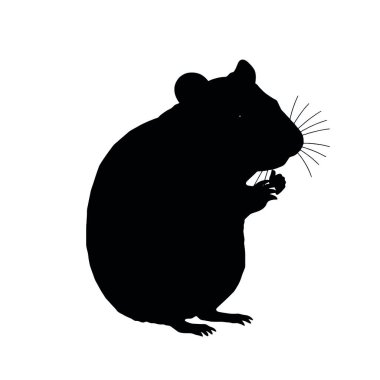 beyaz üzerine siyah siluet fare
