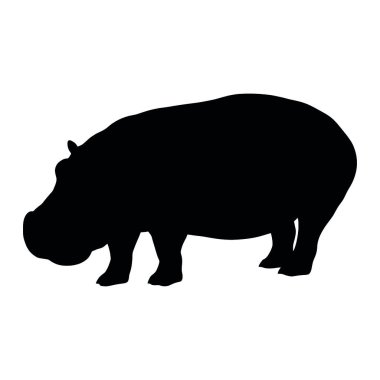 Siyah bir domuzun silueti. vektör illüstrasyonu