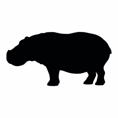 Beyaz arka planda siyah bir domuzun silueti..