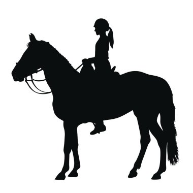 bir binici silüeti.